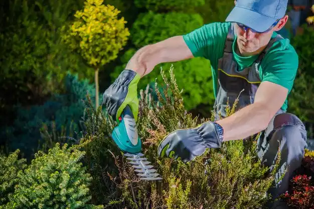 landscaping services Cement City
